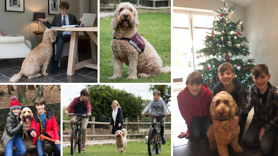 photo collage of william with friends, family and Nutmeg his hearing dog.