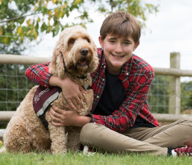 hearing dog child partnership golden labrador