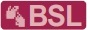 bsl tag