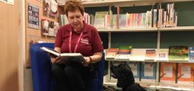 volunteer hearing dogs