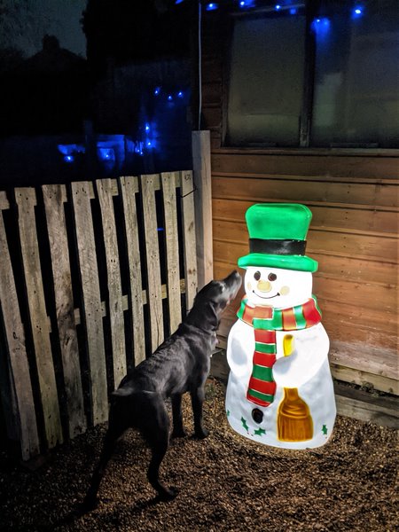 George & Santa.jpg