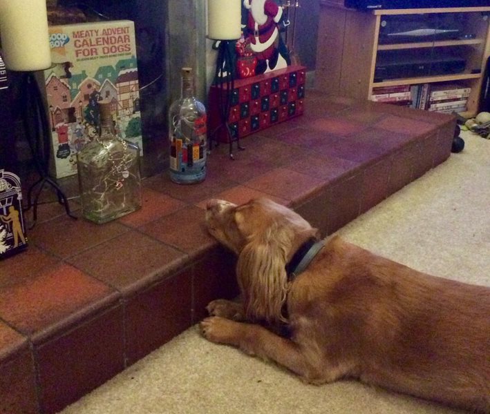 Gwen's Advent Calendar Wait.JPG