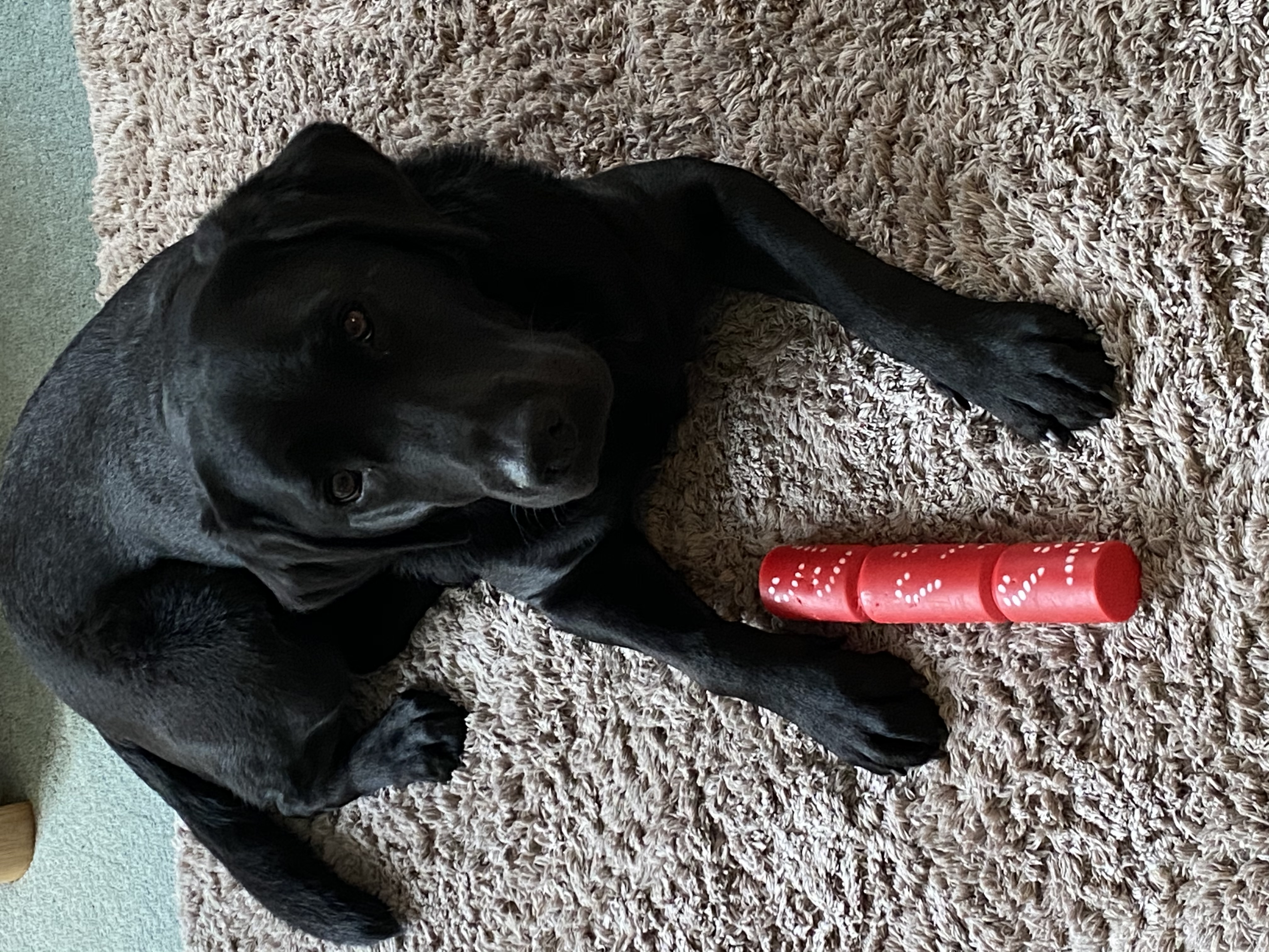 Nancy and her Christmas cracker.jpeg
