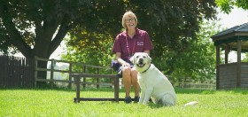 volunteer hearing dogs