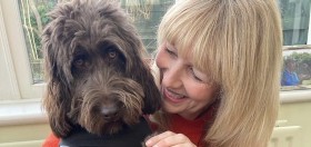 volunteer hearing dogs