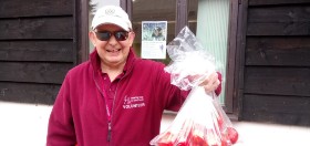volunteer hearing dogs