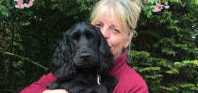 volunteer hearing dogs