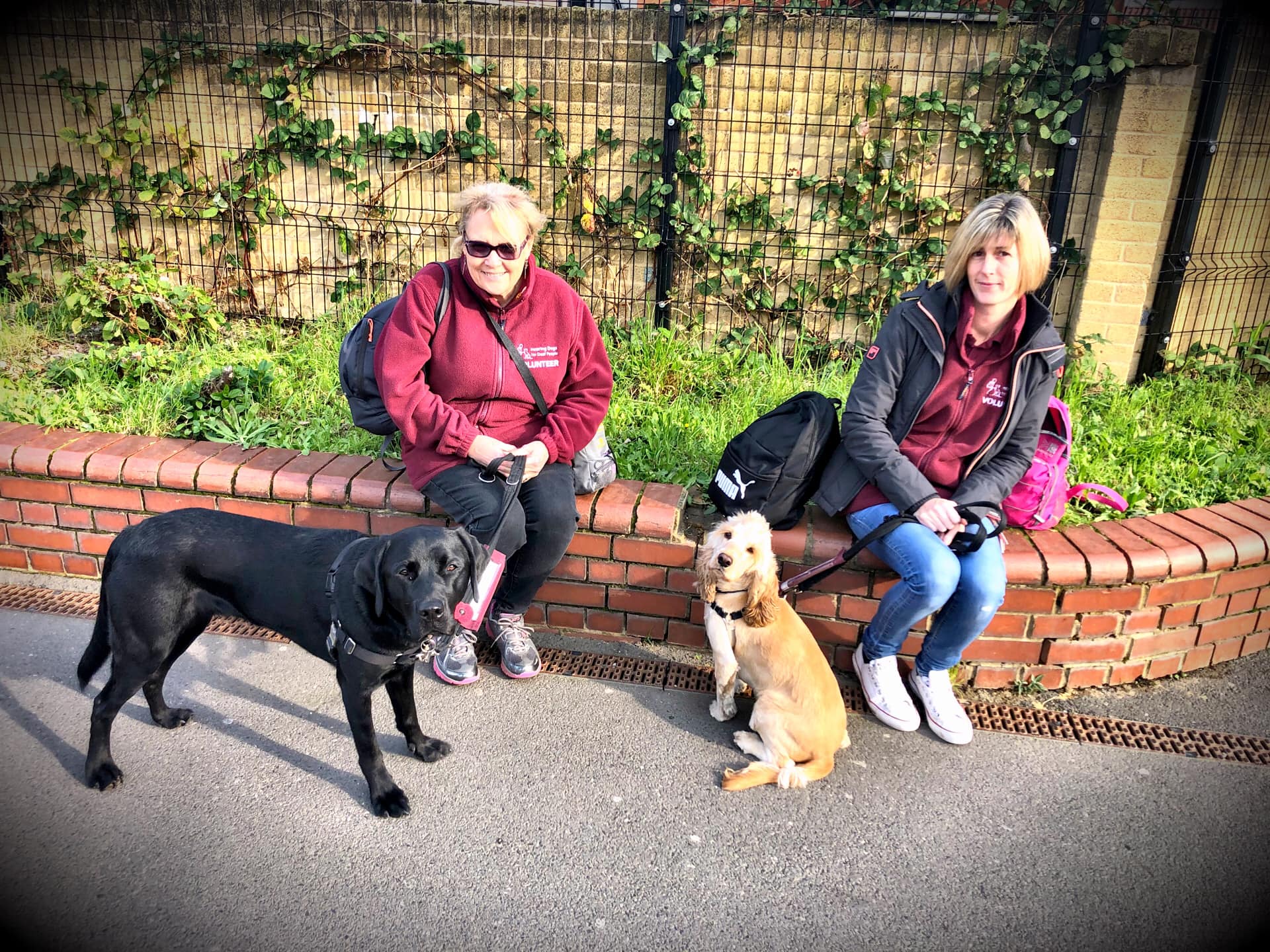 Vesper, river, debbie and zoe.jpg