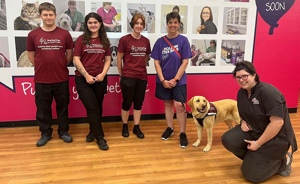 Hearing dog Fudge at a Pets at Home store