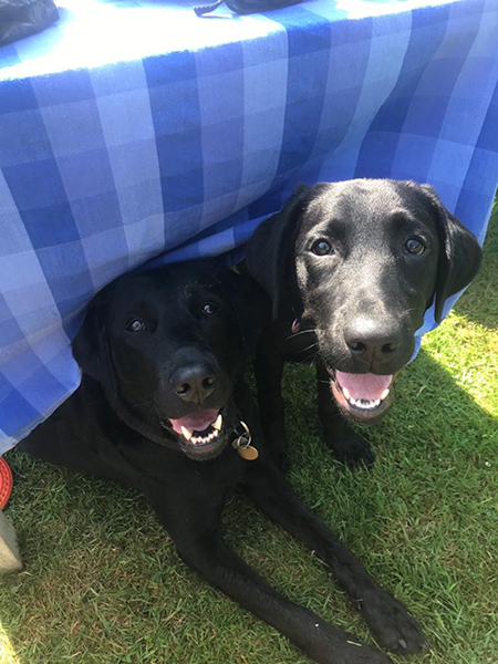 Mum Belle (left) and daughter Walnut under a table in the shade