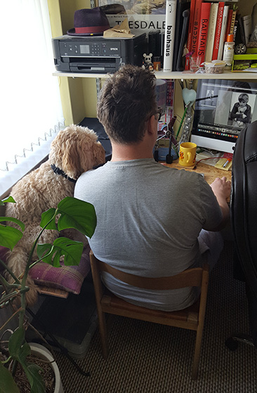 Lee sitting at his desk working on his laptop with Juno sitting to his left on a cushion
