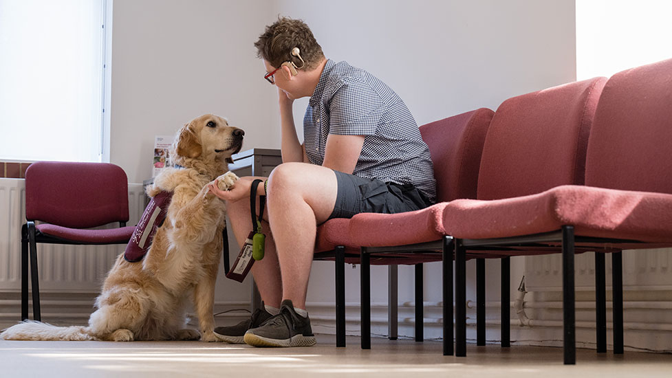 ryan-harris-waiting-977-550.jpg