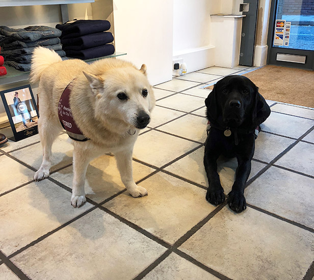 Hettie and Vectra