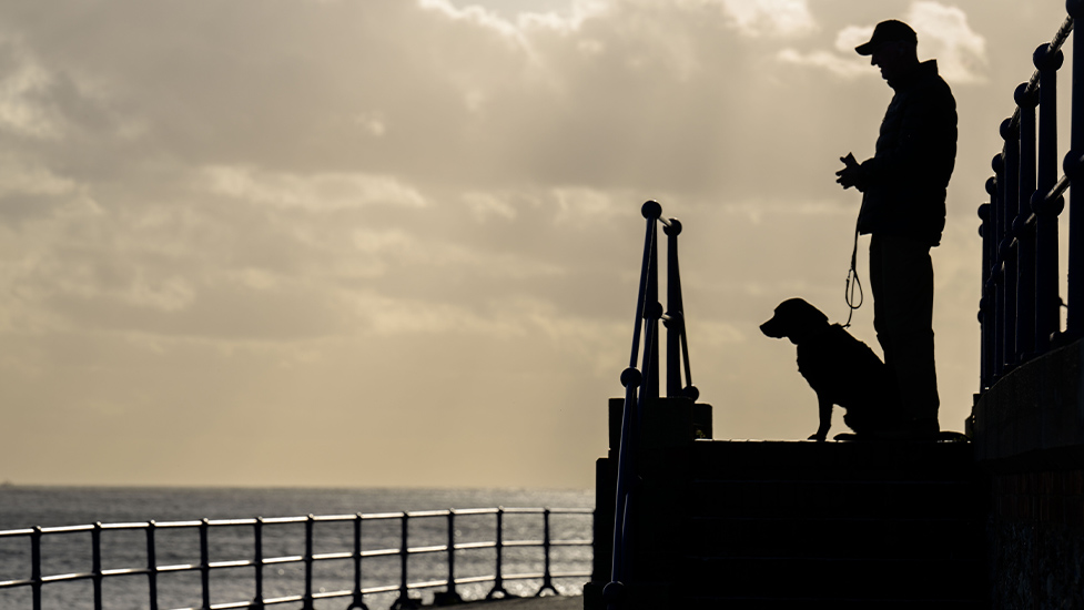 Deryck and hearing dog Elroy are standing on the promenade at the beach, looking out to the sea. The image is in style of a silhouette