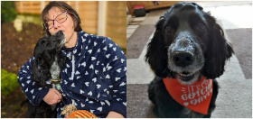 Black cocker spaniel sound support dog Leo and his deaf partner Lisa
