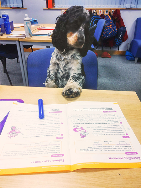 Jovi at school