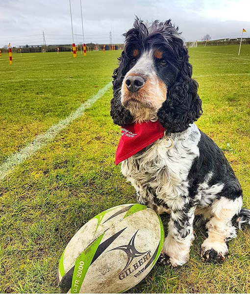 Jovi on the sidelines at the rugby