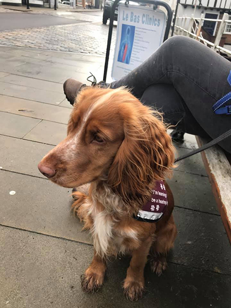 Carlos sitting nicely in town while wearing his burgundy training jacket