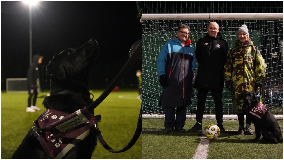 Black Labrador Hop visiting a football training ground.