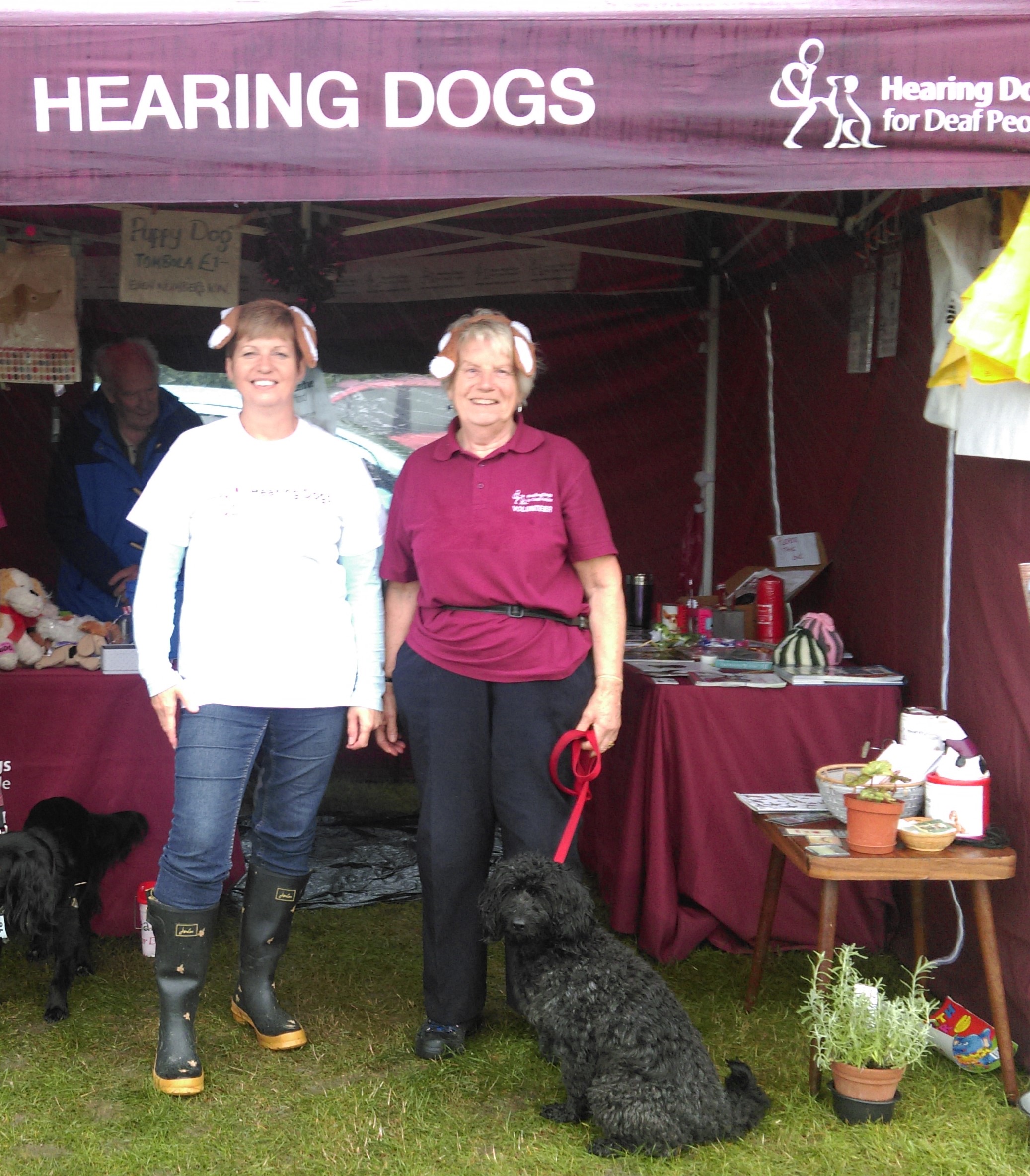 Chinnor Flower Show