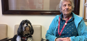 volunteer hearing dogs
