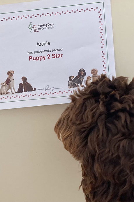 archie-star21-460-690.jpg