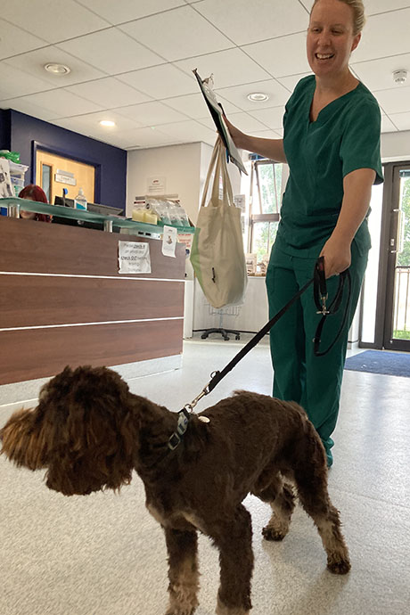 archie-vet1-460-690.jpg