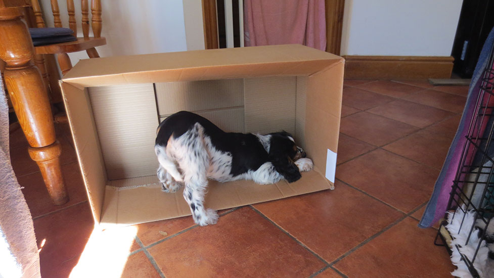 arthur-box-977-550.jpg
