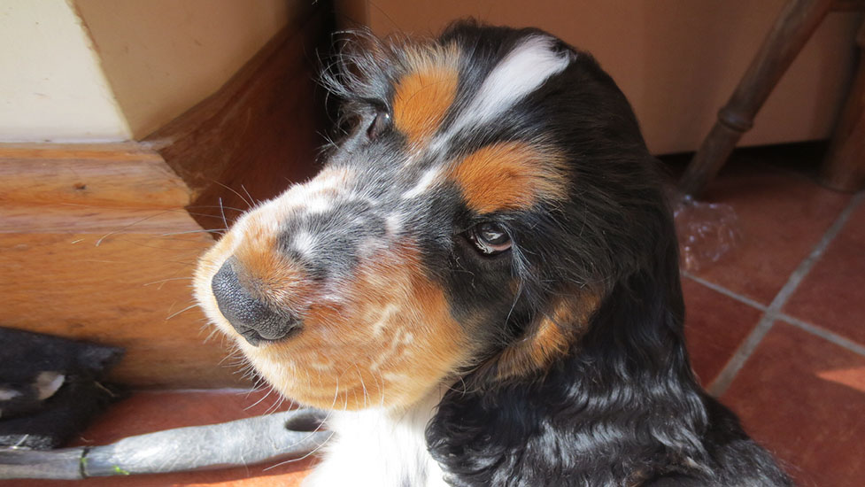 arthur-cute-977-550.jpg