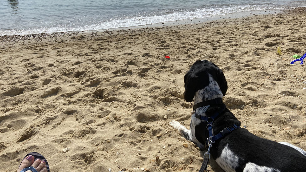 arthur-beach2-460-690.jpg