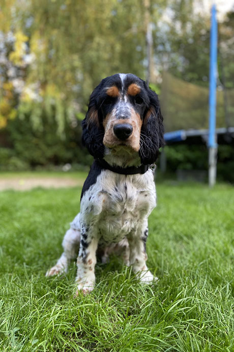 arthur-portrait-460-690.jpg