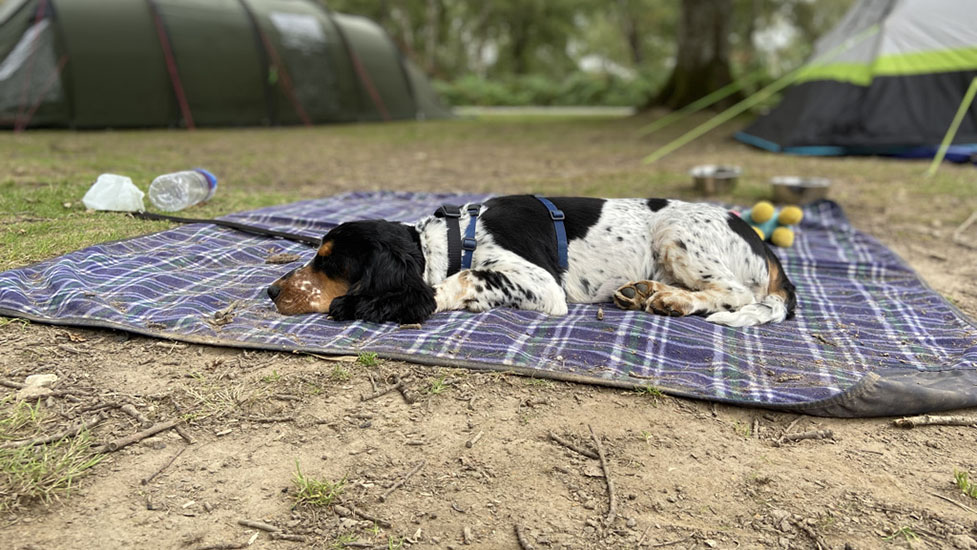 arthur-snooze-977-550.jpg