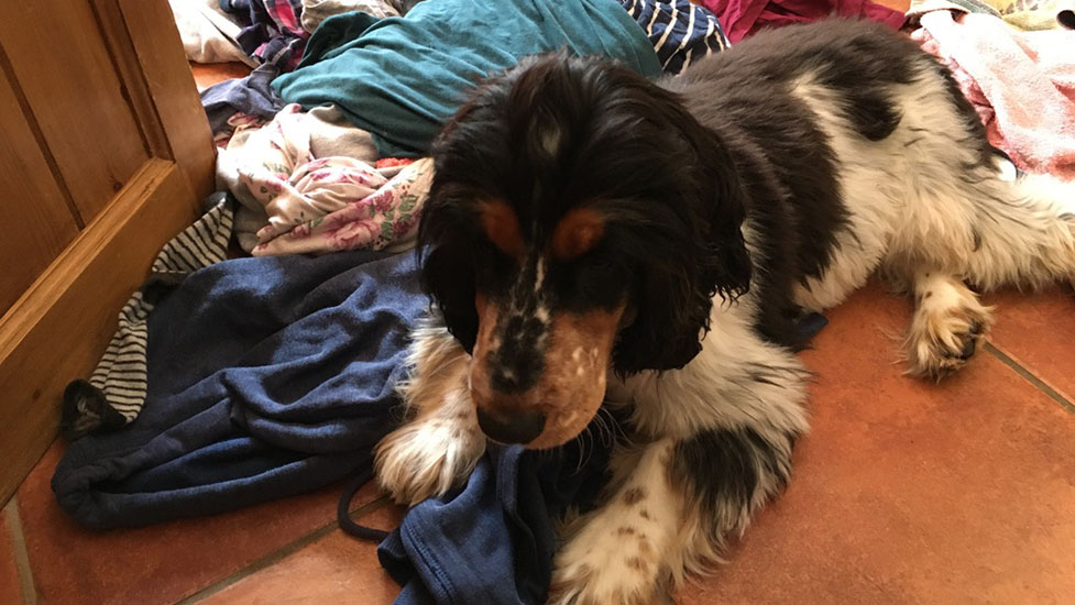 arthur-washing-977-550.jpg