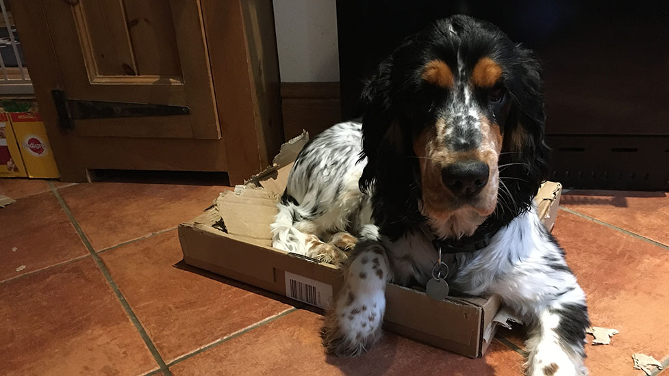 arthur-box-977-550.jpg