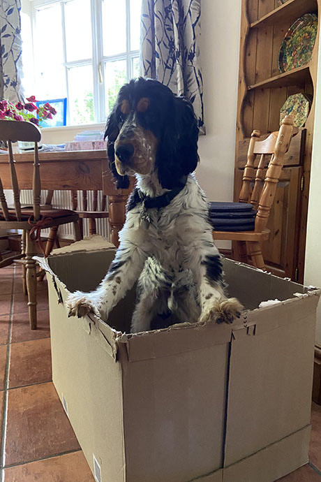 arthur-box2-460-690.jpg