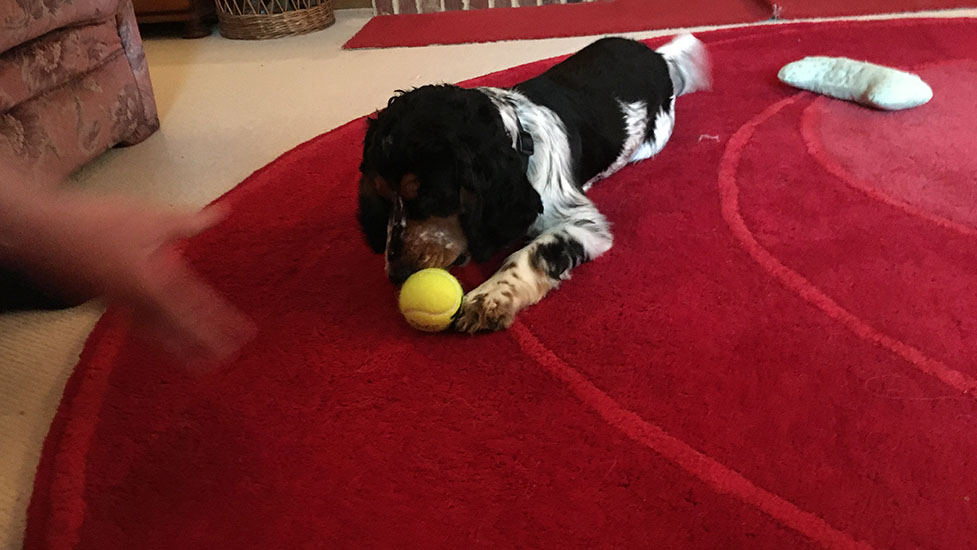 arthur-ball11-977-550.jpg