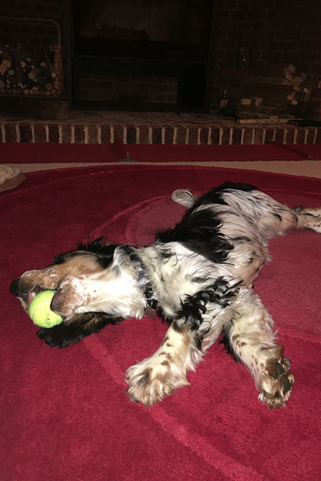 arthur-ball6-460-690.jpg