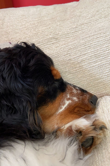 arthur-snooze-460-690.jpg