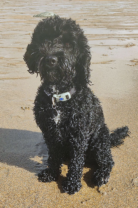 bella-beach-460-690.jpg