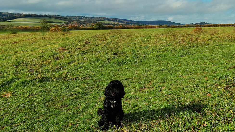 bella-field-977-5502.jpg