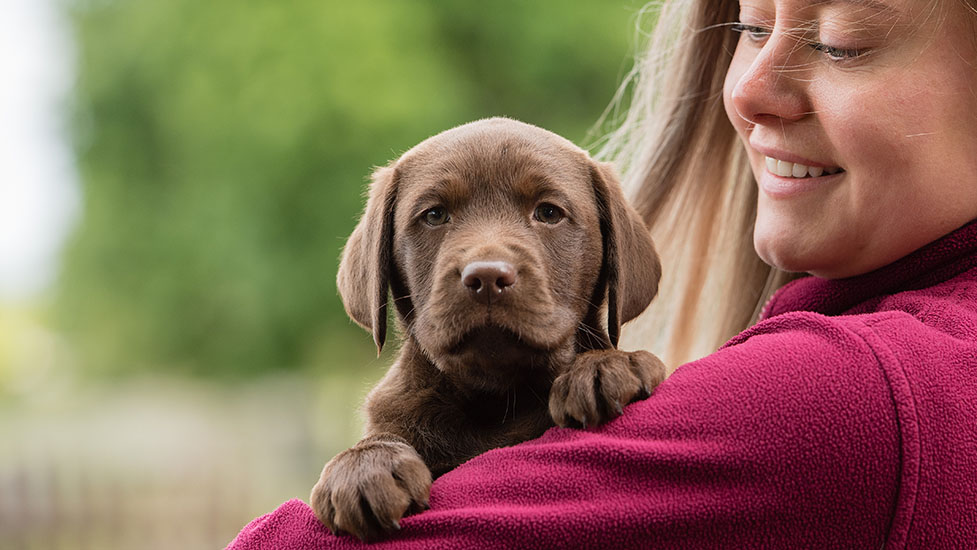 elton-cuddle-977-550.jpg
