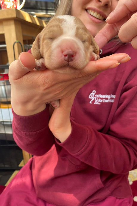 fudge-1-week-460-690.jpg