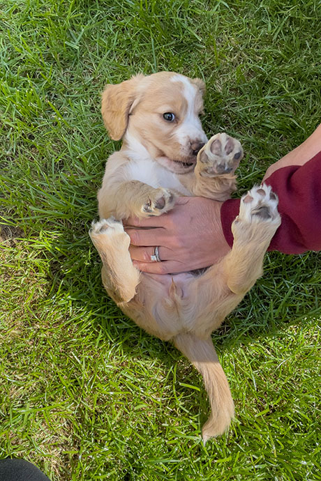 fudge-6-weeks-460-690.jpg