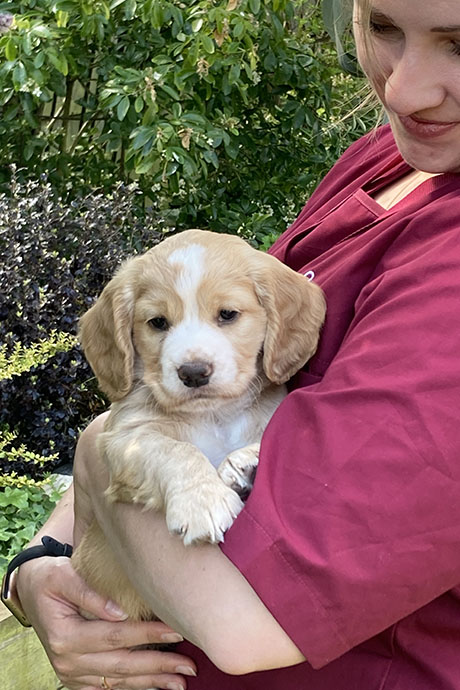 fudge-8-weeks-460-690.jpg