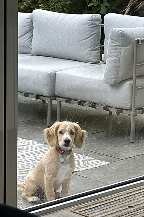 fudge-window-460-690.jpg