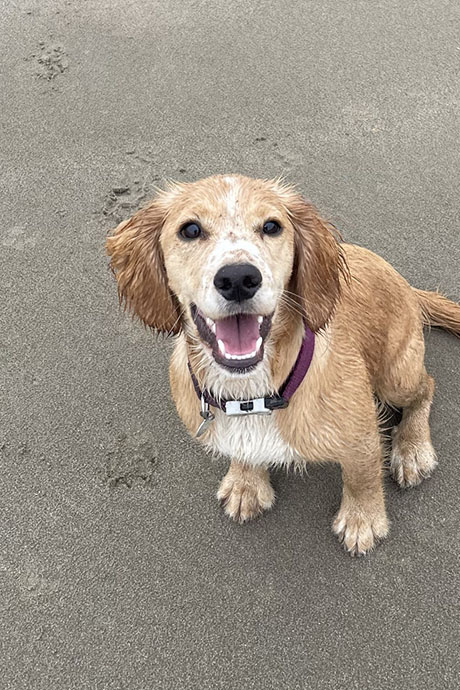 fudge-beach2-460-690.jpg
