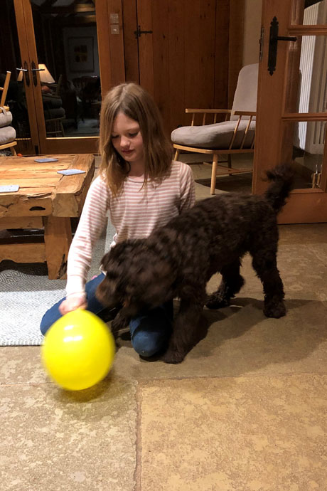 harvey-ball1-460-690.jpg