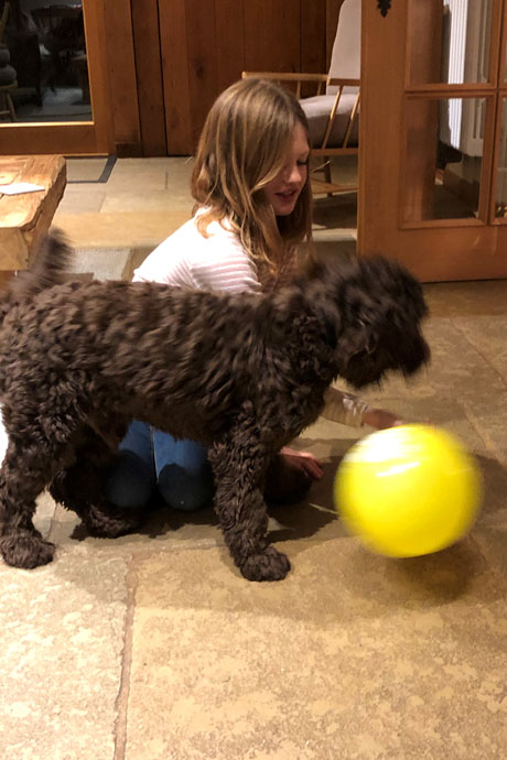 harvey-ball2-460-690.jpg