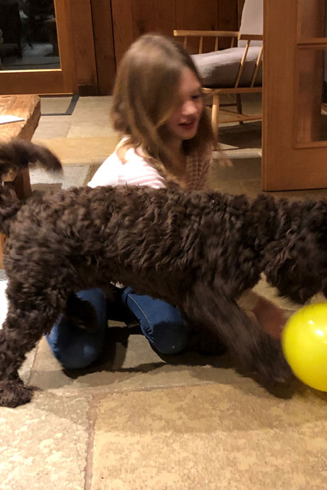 harvey-ball3-460-690.jpg