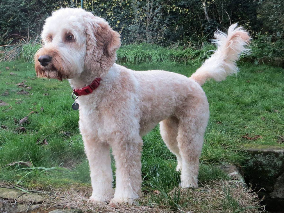 juno-pose-977.jpg